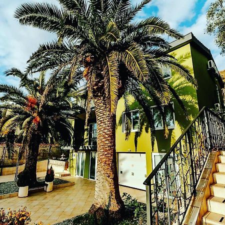 Palm Point Apartment Petrovac na moru Exterior foto