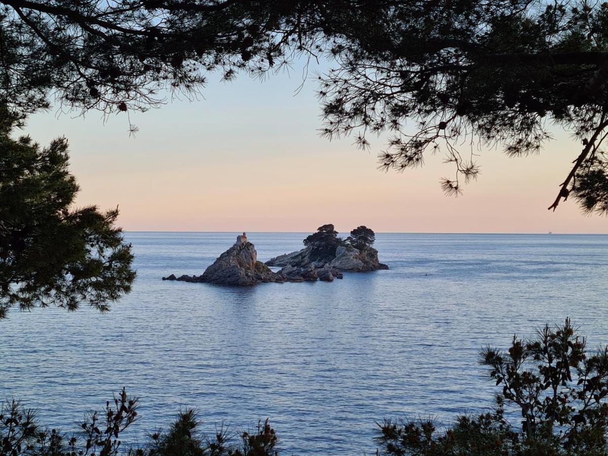 Palm Point Apartment Petrovac na moru Exterior foto