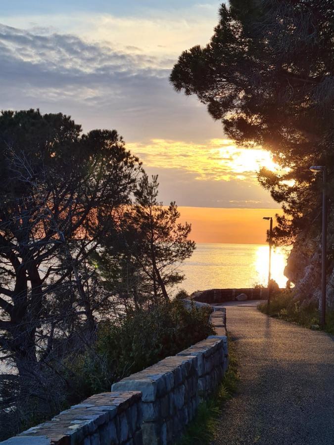 Palm Point Apartment Petrovac na moru Exterior foto