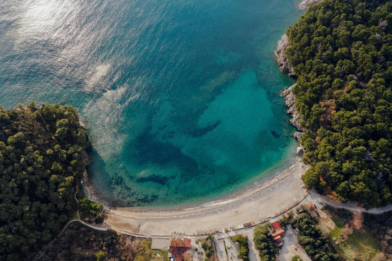 Palm Point Apartment Petrovac na moru Exterior foto
